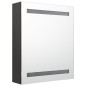 vidaXL LED-Bad-Spiegelschrank Anthrazit 50x14x60 cm vidaXL LED-Bad-Spiegelschrank Anthrazit 50x14x60 cm