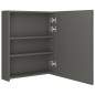 vidaXL LED-Bad-Spiegelschrank Anthrazit 50x14x60 cm vidaXL LED-Bad-Spiegelschrank Anthrazit 50x14x60 cm