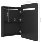 vidaXL LED-Bad-Spiegelschrank Schwarz 60x11x80 cm vidaXL LED-Bad-Spiegelschrank Schwarz 60x11x80 cm