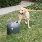 PetSafe Automatischer Ballwerfer für Haustiere 9 m Grau und Lila PetSafe Automatischer Ballwerfer für Haustiere 9 m Grau und Lila