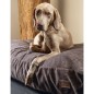 Designed by Lotte Hundekissen Unnay Braun 100x70x15 cm Designed by Lotte Hundekissen Unnay Braun 100x70x15 cm