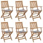 vidaXL Klappbare Gartenstühle 6 Stk. mit Kissen Massivholz Akazie vidaXL Klappbare Gartenstühle 6 Stk. mit Kissen Massivholz Akazie