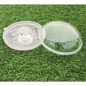 Bestway LED-Poolbeleuchtung Schwimmend 14 cm Transparent Bestway LED-Poolbeleuchtung Schwimmend 14 cm Transparent