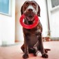 Ferplast Kauspielzeug für Hunde Smile Groß 20x18x4 cm Rot Ferplast Kauspielzeug für Hunde Smile Groß 20x18x4 cm Rot