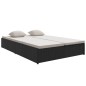 vidaXL Sonnenliege mit Auflagen Poly Rattan Schwarz vidaXL Sonnenliege mit Auflagen Poly Rattan Schwarz