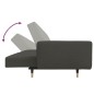 vidaXL Schlafsofa 2-Sitzer mit 2 Kissen Dunkelgrau Samt vidaXL Schlafsofa 2-Sitzer mit 2 Kissen Dunkelgrau Samt