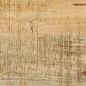 vidaXL Konsolentisch 110x30x76 cm Raues Massivholz Mango vidaXL Konsolentisch 110x30x76 cm Raues Massivholz Mango