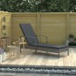 vidaXL Sonnenliege mit Armlehnen Poly Rattan Grau vidaXL Sonnenliege mit Armlehnen Poly Rattan Grau