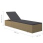 vidaXL Sonnenliege Poly Rattan Braun und Dunkelgrau vidaXL Sonnenliege Poly Rattan Braun und Dunkelgrau