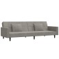 vidaXL Schlafsofa 2-Sitzer mit 2 Kissen Hellgrau Samt vidaXL Schlafsofa 2-Sitzer mit 2 Kissen Hellgrau Samt