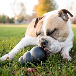 Kong Hundespielzeug Extreme Schwarz XXL