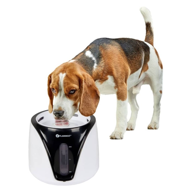 FLAMINGO Wasserspender für Haustiere Automatisch Adriana 2 L Schwarz FLAMINGO Wasserspender für Haustiere Automatisch Adriana 2 L Schwarz
