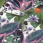 DUTCH WALLCOVERINGS Tapete Passion Flower Weiß und Grün DUTCH WALLCOVERINGS Tapete Passion Flower Weiß und Grün