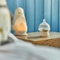 Tommee Tippee 2-in-1 Nachtlicht für Kinder Penguin Wiederaufladbar Tommee Tippee 2-in-1 Nachtlicht für Kinder Penguin Wiederaufladbar