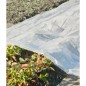 Nature Pflanzfolie 4x6 m 100µ Transparent Nature Pflanzfolie 4x6 m 100µ Transparent
