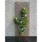 Nature Garten-Rankgitter 60x180 cm Natur Weide Braun Nature Garten-Rankgitter 60x180 cm Natur Weide Braun