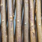 Nature Garten-Rankgitter 60x180 cm Natur Weide Braun Nature Garten-Rankgitter 60x180 cm Natur Weide Braun