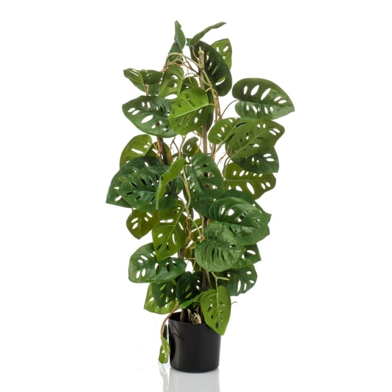 Emerald Künstliche Monstera Monkey 75 cm im Topf Emerald Künstliche Monstera Monkey 75 cm im Topf