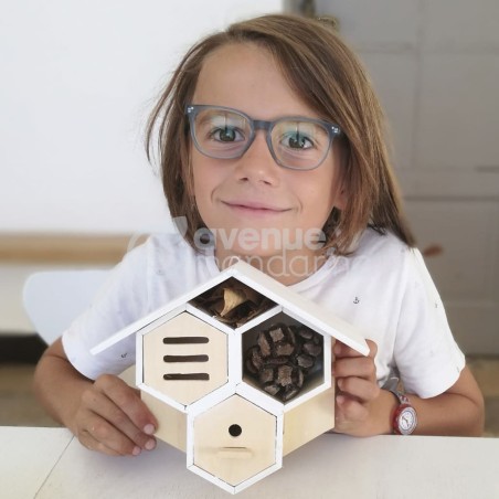 Avenue Mandarine Kreativ-Box Bug House to Build