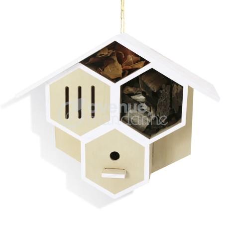 Avenue Mandarine Kreativ-Box Bug House to Build