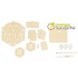 Avenue Mandarine Kreativ-Box Bug House to Build Avenue Mandarine Kreativ-Box Bug House to Build