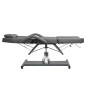 vidaXL Massagetisch Grau 180x62x(87-112) cm vidaXL Massagetisch Grau 180x62x(87-112) cm