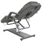 vidaXL Massagetisch Grau 180x62x(87-112) cm vidaXL Massagetisch Grau 180x62x(87-112) cm