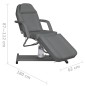 vidaXL Massagetisch Grau 180x62x(87-112) cm vidaXL Massagetisch Grau 180x62x(87-112) cm