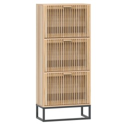 vidaXL Schuhschrank 52x25x120 cm Holzwerkstoff