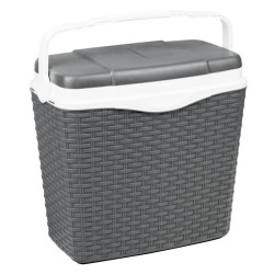 HI Kühlbox mit Griff 24 L Kunststoff Anthrazit