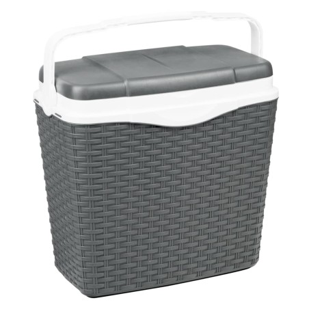 HI Kühlbox mit Griff 24 L Kunststoff Anthrazit