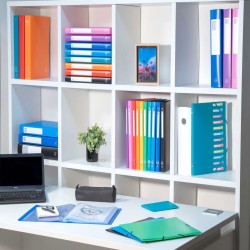 Exacompta Sammelbox mit Gummizug Exabox 8 Stk. A4 40 mm PP