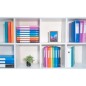 Exacompta Sammelbox mit Gummizug Exabox 8 Stk. A4 40 mm PP Exacompta Sammelbox mit Gummizug Exabox 8 Stk. A4 40 mm PP