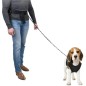Pets Collection Hundeleine mit Hüftband Groß Schwarz Pets Collection Hundeleine mit Hüftband Groß Schwarz