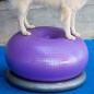 FitPAWS Donuthalter 63 cm Grau FitPAWS Donuthalter 63 cm Grau