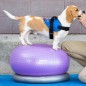 FitPAWS Donuthalter 63 cm Grau FitPAWS Donuthalter 63 cm Grau