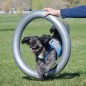 FitPAWS Donuthalter 63 cm Grau FitPAWS Donuthalter 63 cm Grau