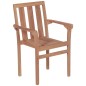 vidaXL Stapelbare Gartenstühle 2 Stk. Massivholz Teak vidaXL Stapelbare Gartenstühle 2 Stk. Massivholz Teak