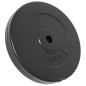 vidaXL Hantelscheiben 2 Stk. 30 kg Zement vidaXL Hantelscheiben 2 Stk. 30 kg Zement