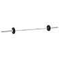 vidaXL Langhantel und Kurzhantel Set 30 kg Gusseisen vidaXL Langhantel und Kurzhantel Set 30 kg Gusseisen