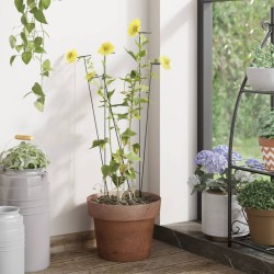 vidaXL Pflanzenstützen 20 Stk. Dunkelgrün 91 cm Stahl