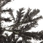vidaXL Schlanker Weihnachtsbaum Schwarz 210 cm vidaXL Schlanker Weihnachtsbaum Schwarz 210 cm
