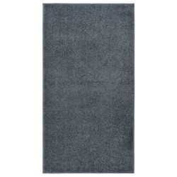 vidaXL Teppich Kurzflor 80x150 cm Anthrazit