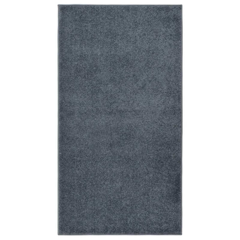 vidaXL Teppich Kurzflor 80x150 cm Anthrazit vidaXL Teppich Kurzflor 80x150 cm Anthrazit