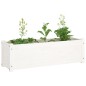 vidaXL Pflanzkübel Weiß 100x31x31 cm Massivholz Kiefer vidaXL Pflanzkübel Weiß 100x31x31 cm Massivholz Kiefer