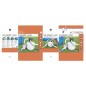 Bestway Sandfilterpumpe Flowclear 8327 L/h Bestway Sandfilterpumpe Flowclear 8327 L/h