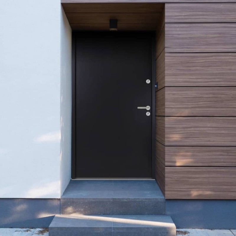 vidaXL Haustür Anthrazit 100x200 cm Aluminium vidaXL Haustür Anthrazit 100x200 cm Aluminium