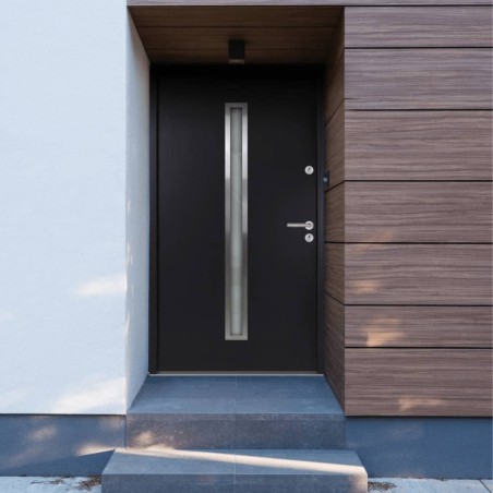 vidaXL Haustür Anthrazit 100x200 cm Aluminium