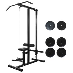 vidaXL Kraftturm mit Hantelscheiben 40 kg