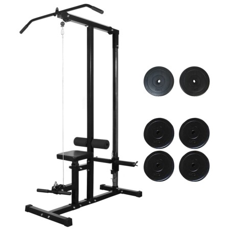 vidaXL Kraftturm mit Hantelscheiben 40 kg